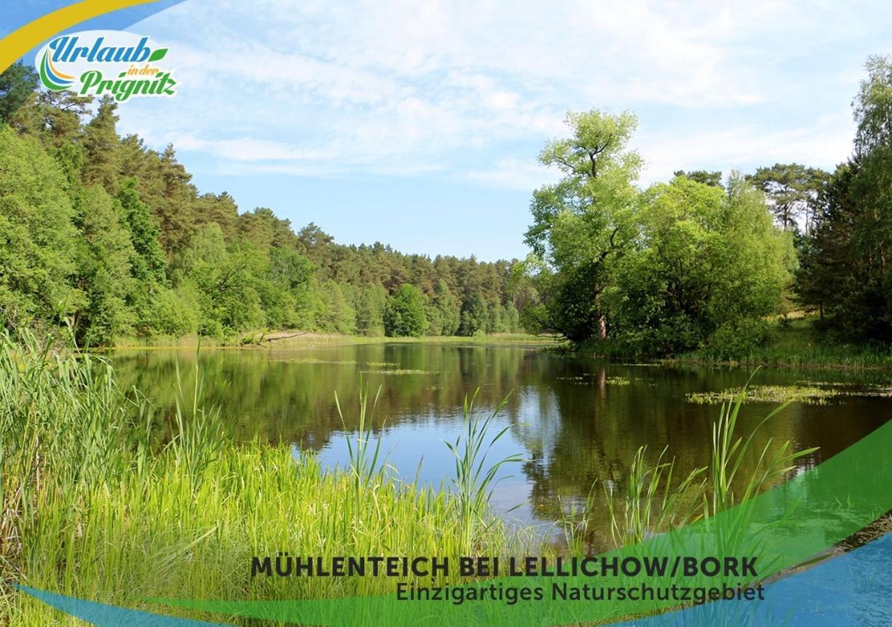 Bauernhof-Streichel-Zoo-Kombi-Familien-Suite-Im-Wald-Am-See Gulow Bagian luar foto